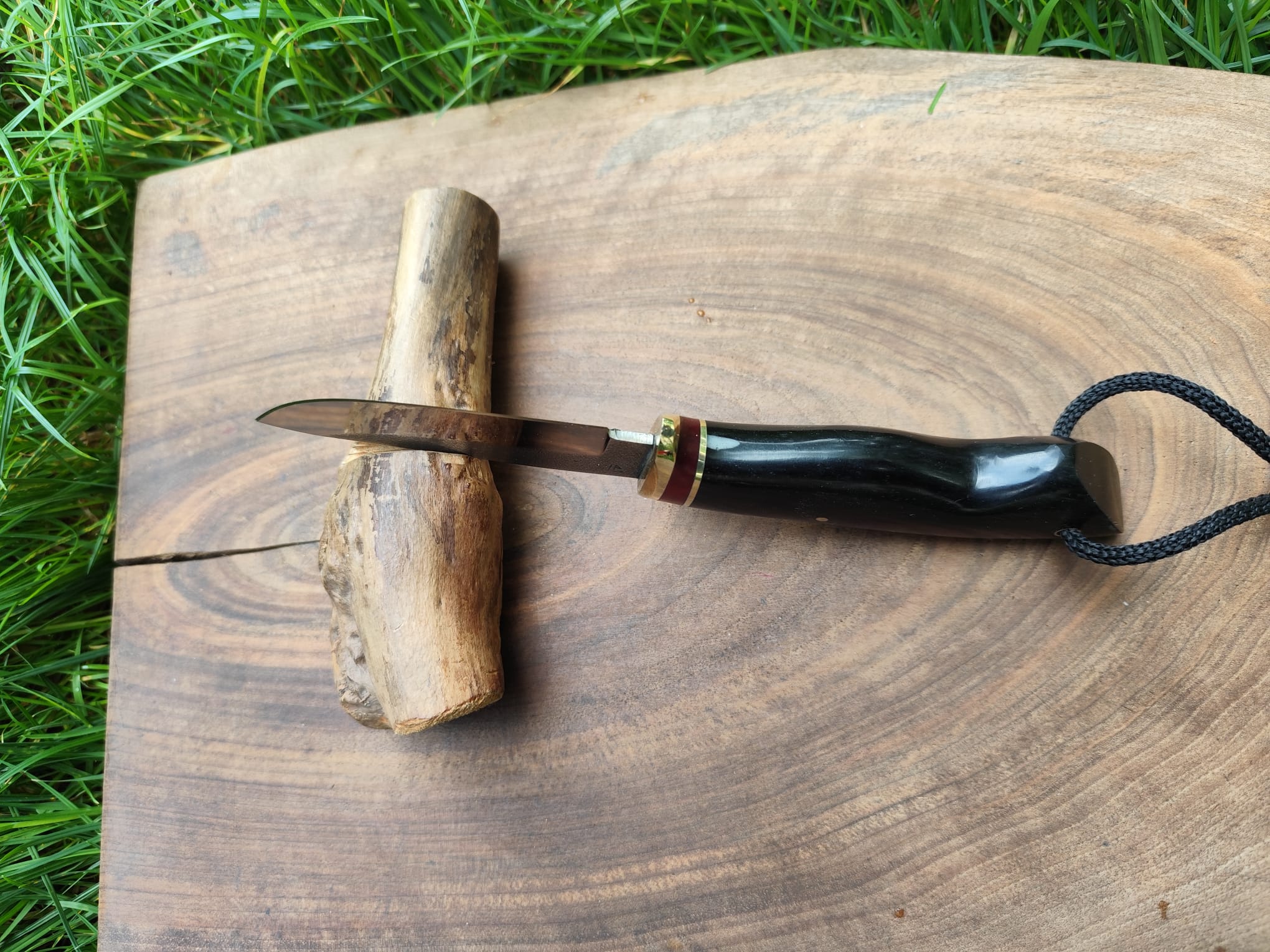 Vanator s13 - imagine 2