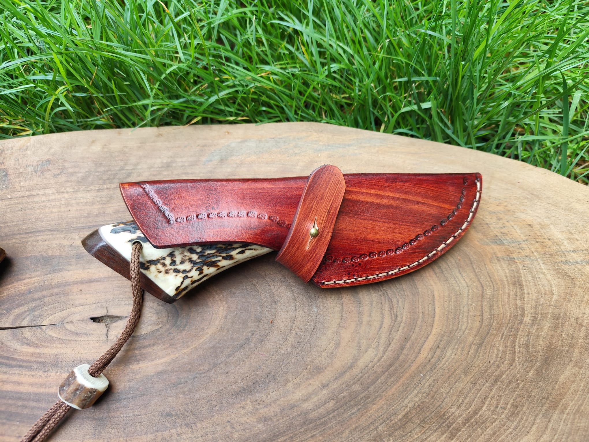 Skiner s15 - imagine 3